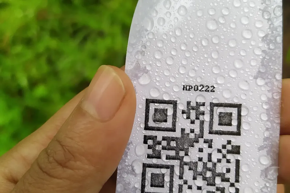 Hornbill Dispatch #12 | The Muddy Reality of Counting Carbon