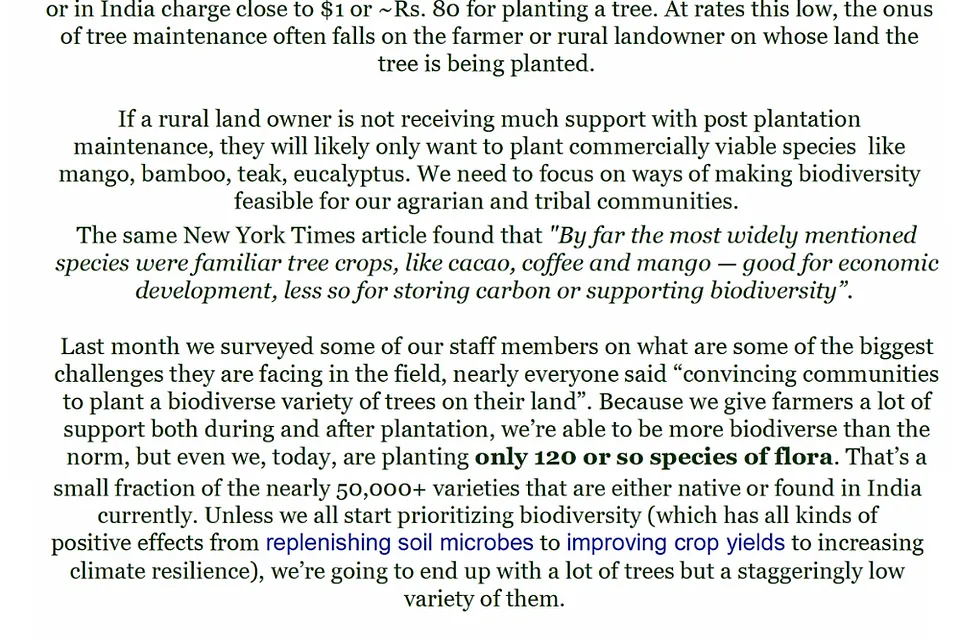 Hornbill Dispatch #9 | The Forest and the Future [Archive]